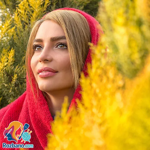 گالری عکس بیوگرافی فریبا آهنگ بازیگر زن ایرانی