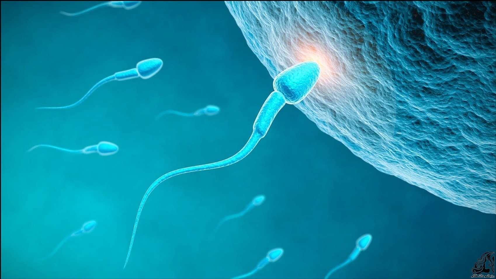 درمان ناباروری با جدیدترین روش ها و دلایل نازایی