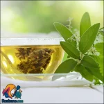 کاهش وزن با چای سبز و لاغری طبیعی