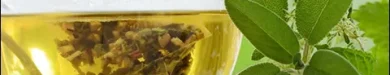 کاهش وزن با چای سبز و لاغری طبیعی