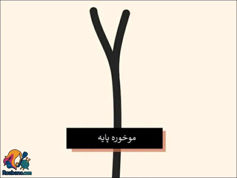 درمان موخوره - موخوره پایه