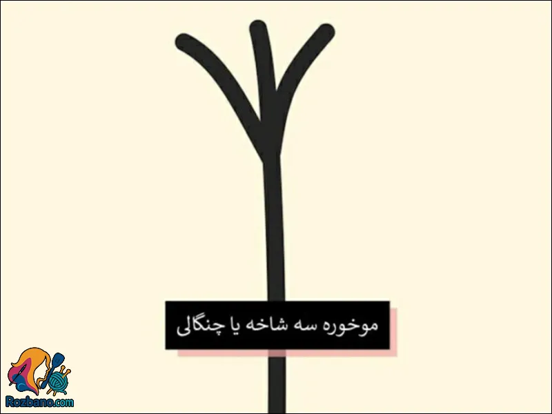 درمان موخوره - موخوره سه شاخه یا چنگالی