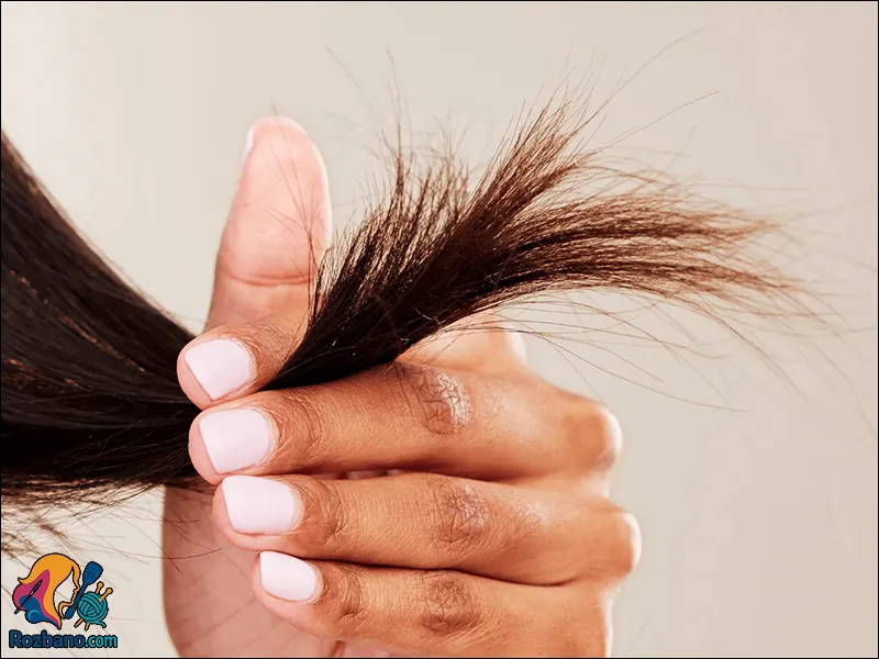 موخوره چیست و چگونه درمان می شود؟ راهکارهای موثر