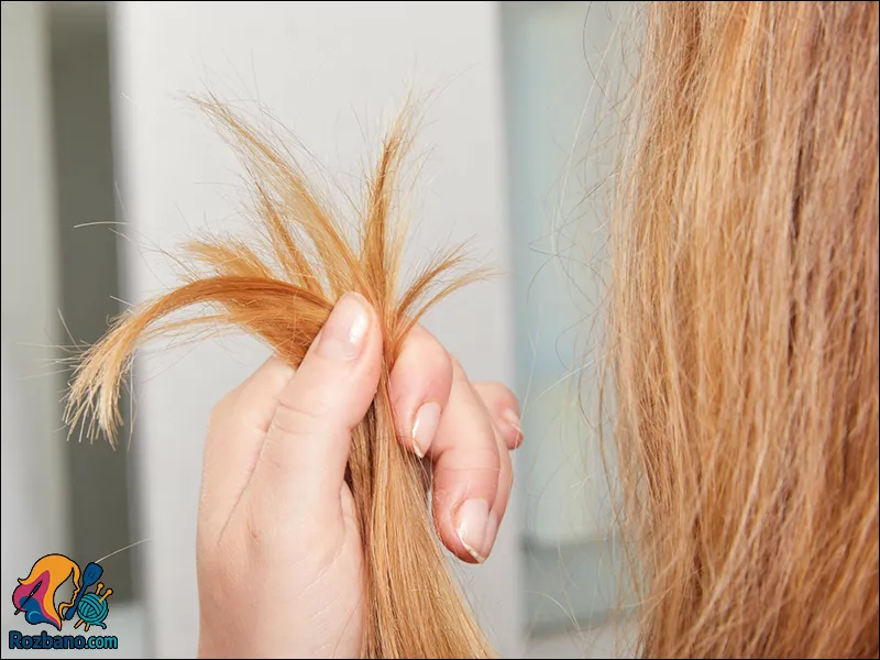 درمان موخوره و پیشگیری از انواع موخوره در خانه