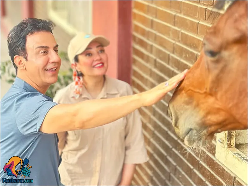 بیوگرافی داریوش فرضیایی و زندگی نامه کامل