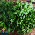 آموزش کامل آماده کردن سبزی خورش قورمه سبزی خوش عطر