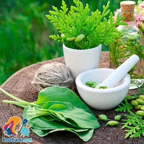 انواع روغن های گیاهی و خواص آنها برای سلامتی بدن - the benefits of traditional medicine and herbal oils