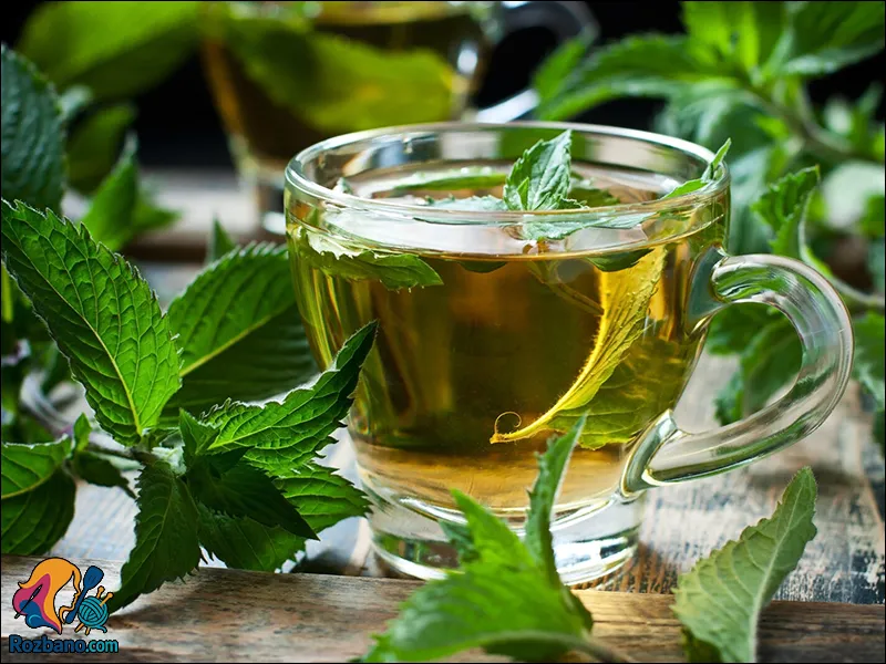 دمنوش های گیاهی برای رفع عطش - دمنوش نعناع