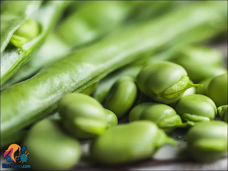 خواص باقلا در طب سنتی برای سلامت بدن