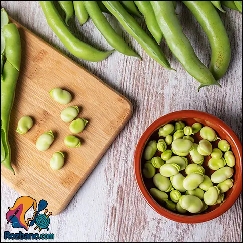 خواص باقلا در طب سنتی و نکات مهم مصرف آن