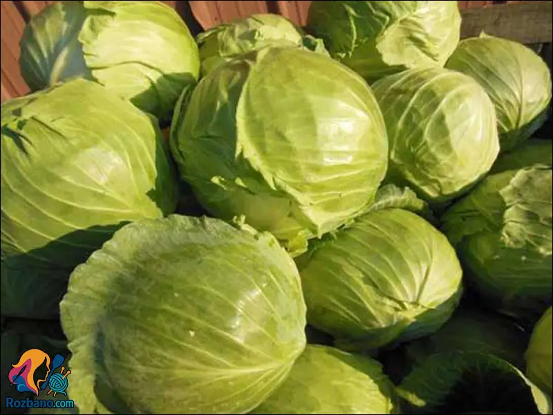 خوراکی هایی برای افزایش میل جنسی - کلم