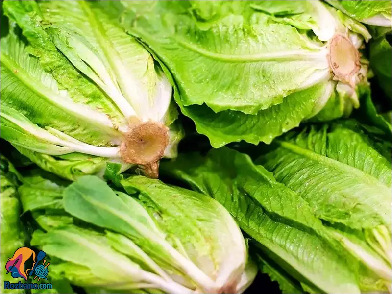 مواد غذایی ممنوعه برای فریز در فریزر