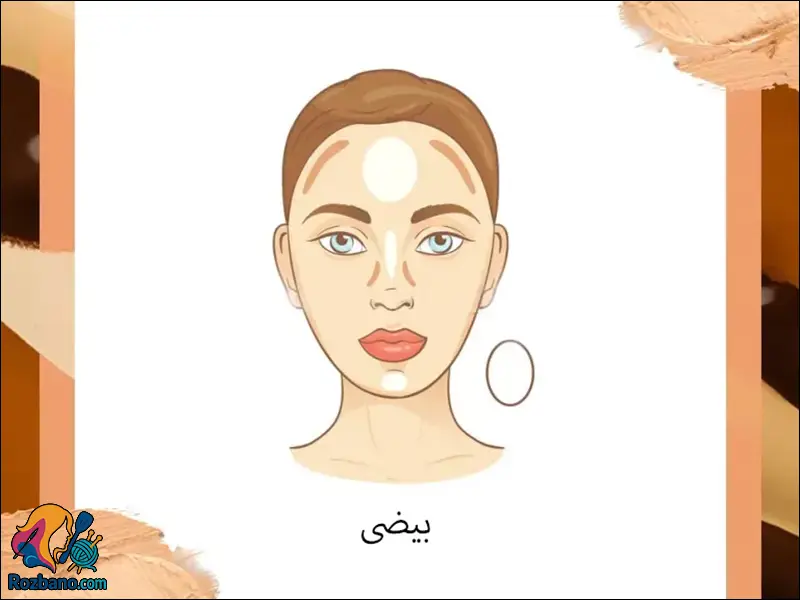 آموزش کانتور انواع صورت - کانتور صورت بیضی