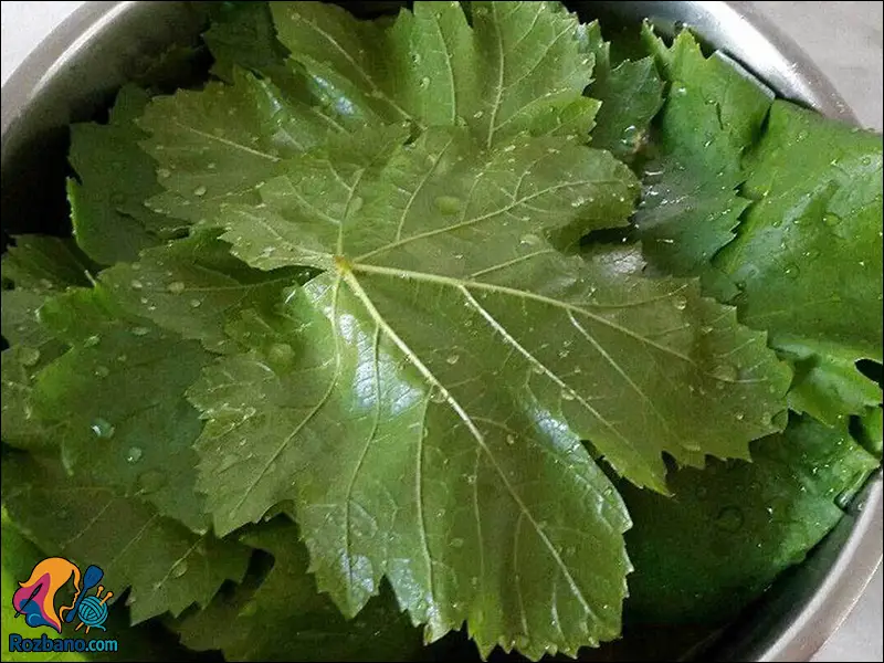 فریز کردن برگ مو به روش اصولی