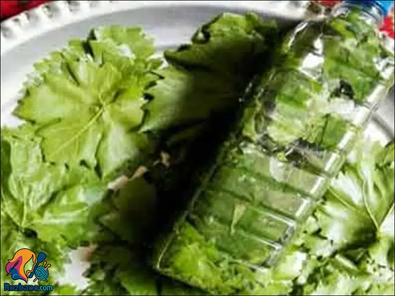 نگهداری برگ مو در فریزر بدون تغییر رنگ