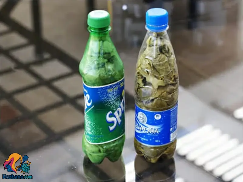 نگهداری برگ مو در فریزر با بطری