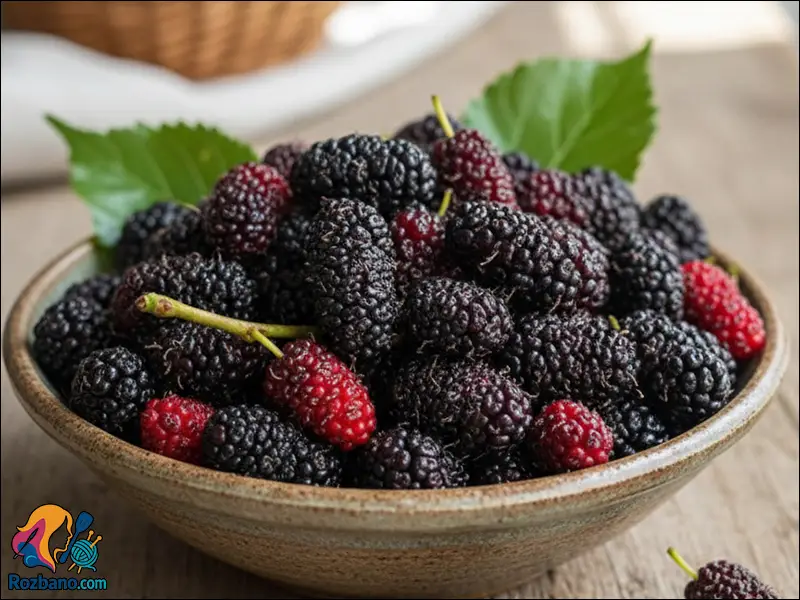 تزیین دسر خامه شاتوتی با شاتوت تازه