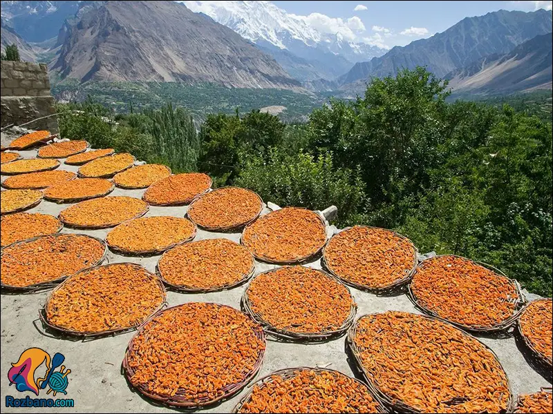 برگه زردآلو در منزل به روش سنتی و کاملا بهداشتی