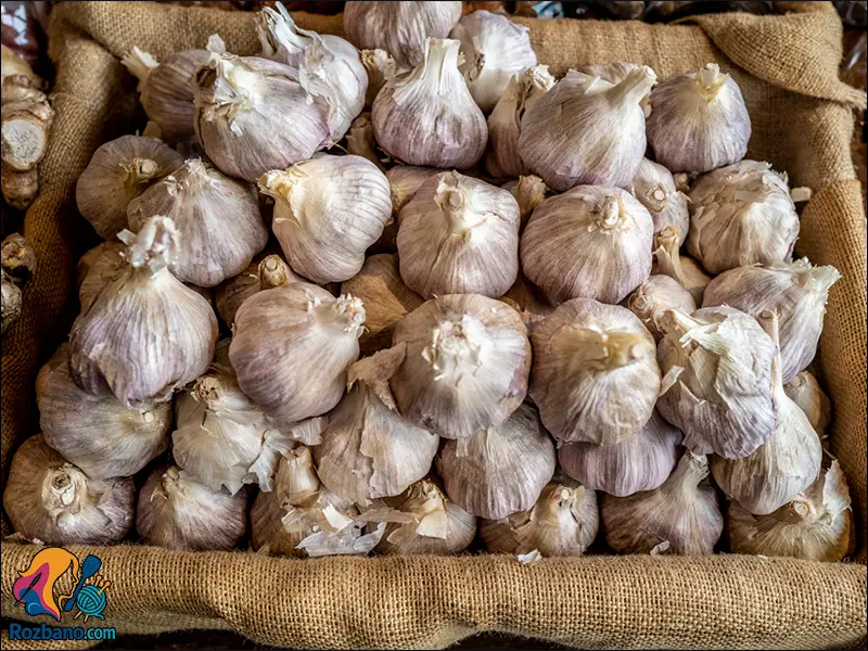 نگهداری سیر و پیاز در جای خنک و خشک