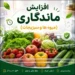 چگونه ماندگاری میوه ها و سبزیجات را بیشتر کنیم؟