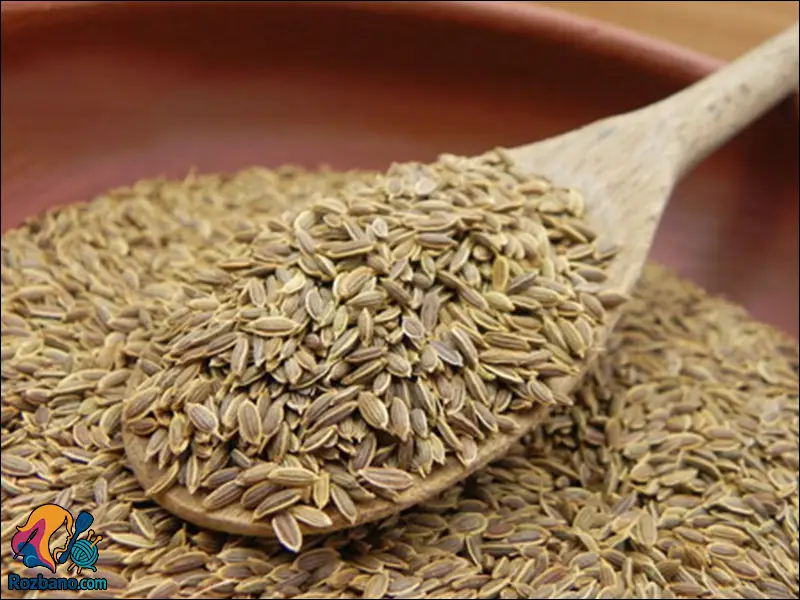 کاشت و نگهداری شوید - دانه شوید