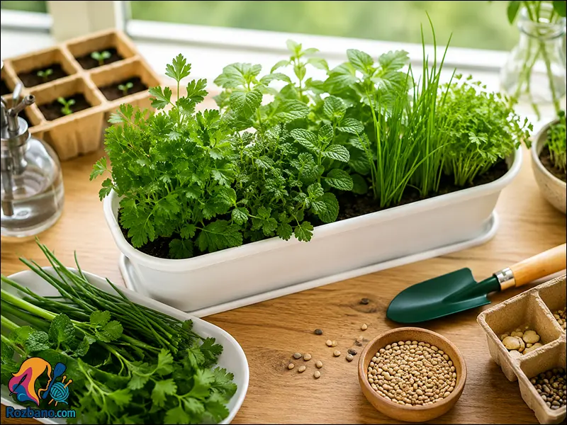 راهنمای صفر تا صد کاشت سبزی خوردن در خانه و آپارتمان