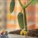 آموزش گام به گام و حرفه ای کاشت خیار در خانه