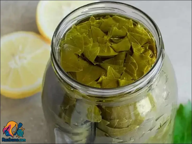 آموزش طرز تهیه کنسرو برگ مو خانگی برای دلمه