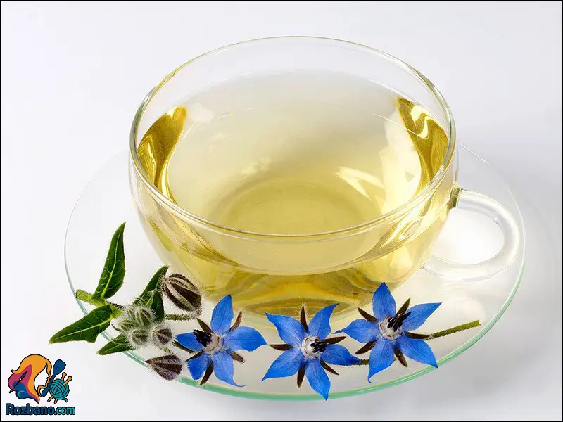 درمان سرخجه با طب سنتی و نسخه های گیاهی موثر