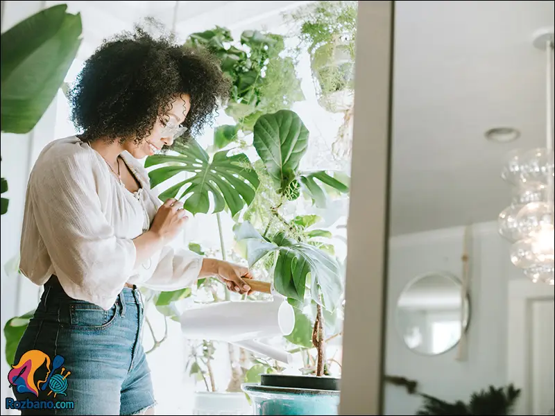 مزایای نگهداری گل و گیاه در خانه برای سلامت و آرامش