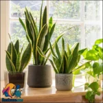 مزایای نگهداری گل و گیاه در خانه و تاثیر آن بر سلامتی