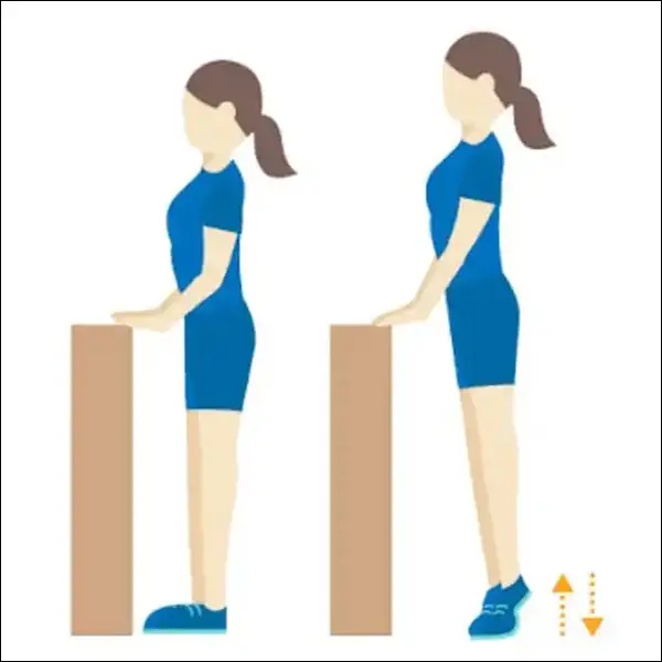 ورزش درمانی پارگی مینیسک زانو - ایستاده بالا آوردن پاشنه