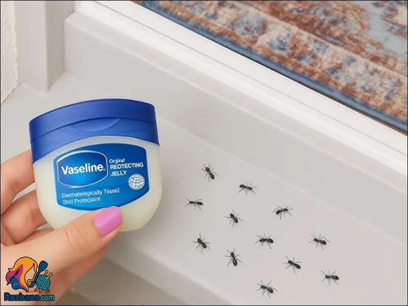 نکات خانه داری - از بین بردن مورچه های آشپزخانه