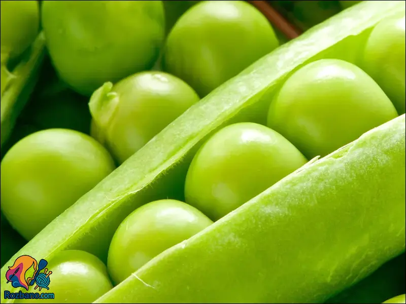 آموزش کامل پرورش گوجه فرنگی و نخود فرنگی در باغچه خانه