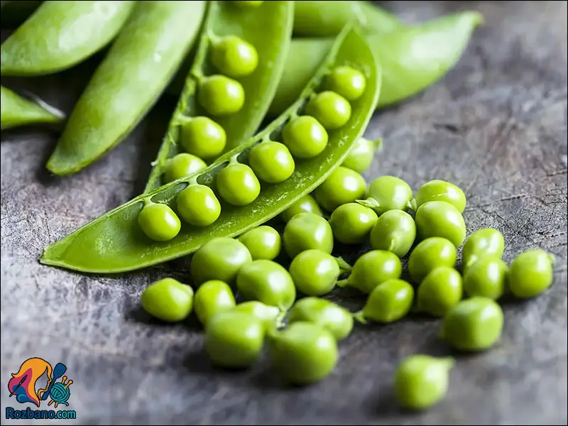 آموزش کامل پرورش گوجه فرنگی و نخود فرنگی در خانه