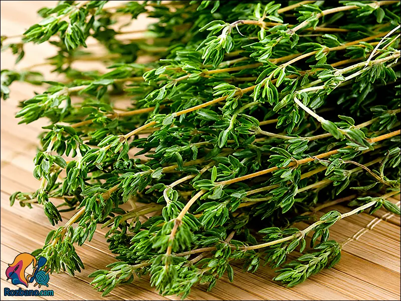 آویشن کوهی خودرو در مناطق کوهستانی