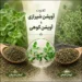 تفاوت آویشن کوهی و شیرازی در طعم، عطر و خواص
