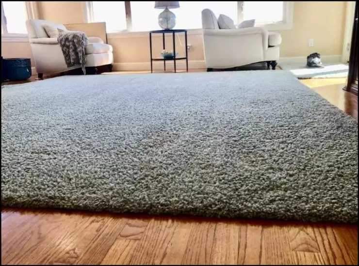 https://up.rozbano.com/view/3777852/3%20simple%20ways%20to%20remove%20black%20mold%20from%20the%20carpet-03.webp