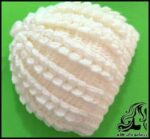 بافتنی و راهنمای بافت سه بعدی برای کودک - 3D20texture20for20baby 03