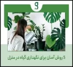 ۵ روش آسان برای نگهداری گیاه در منزل - 520easy20ways20to20keep20plants20at20home 04