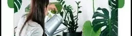 520easy20ways20to20keep20plants20at20home-04