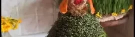 A20different20idea20for20planting20greenery20for20Nowruz-01