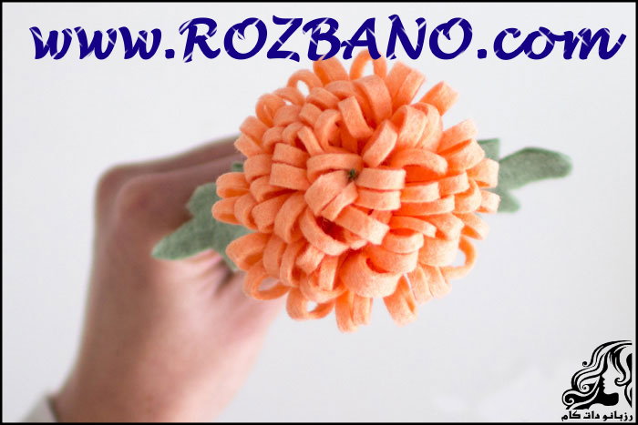 https://up.rozbano.com/view/2789950/Chrysanthemum-06.jpg
