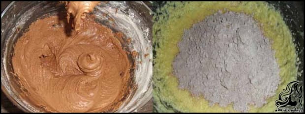 https://up.rozbano.com/view/3072282/Cocoa%20Cookies%20cookie-05.jpg