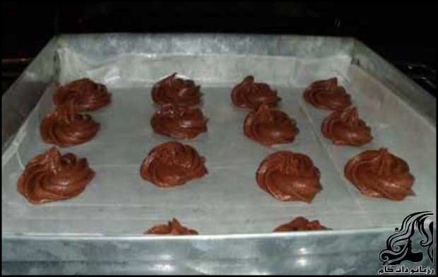https://up.rozbano.com/view/3072285/Cocoa%20Cookies%20cookie-08.jpg