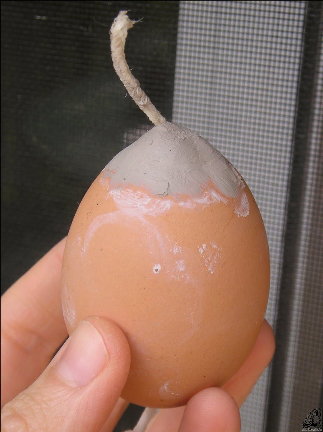 https://up.rozbano.com/view/2899165/Egg%20Shaped%20Candles-05.jpg