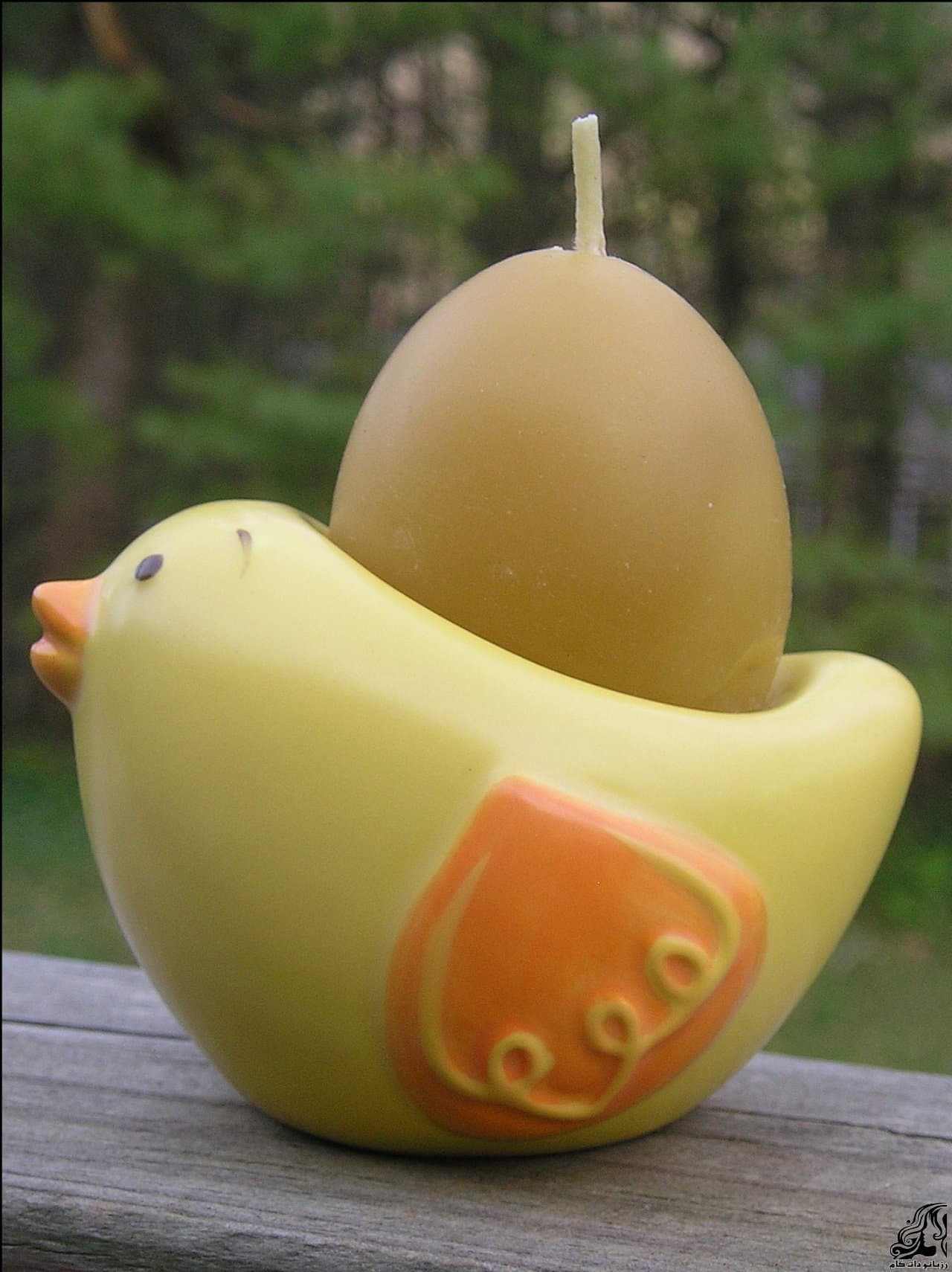 https://up.rozbano.com/view/2899160/Egg%20Shaped%20Candles.jpg