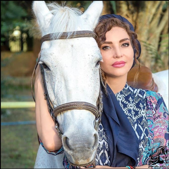 بیوگرافی فریبا آهنگ بازیگر سریال های ایرانی