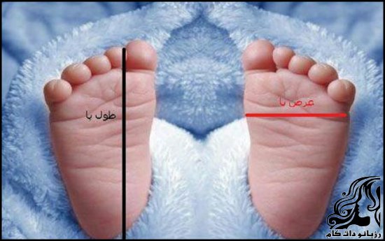 https://up.rozbano.com/view/2769836/Felt%20Beautiful%20baby%20shoes-02.jpg