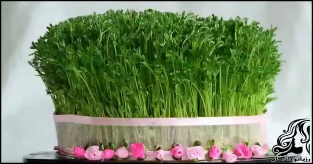 https://up.rozbano.com/view/3090204/Garden%20cress-02.jpg